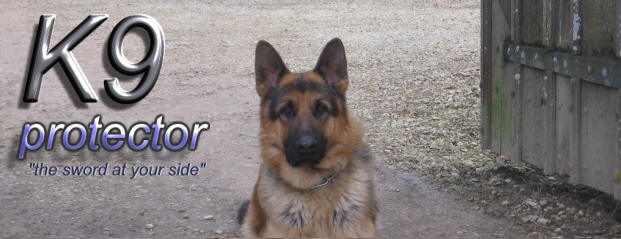 , security dogs, handler training, dogs for sale, trained dogs ...